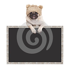 Adorable cute pug puppy dog with knitted hat, hanging with paws on blank blackboard sign with wooden frame
