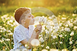 Adorable cute school boy blowing on a dandelion flower on the nature in the summer. Happy healthy beautiful child with