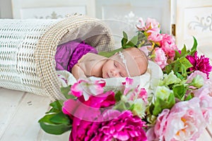 Adorable cute sweet sleeping baby girl in white basket with flowers on wooden floor