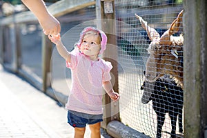 Adorable cute toddler girl feeding little goats and sheeps on a kids farm. Beautiful baby child petting animals in the