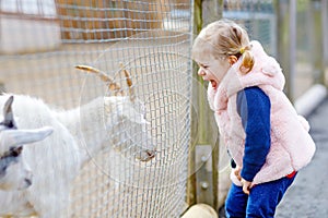 Adorable cute toddler girl feeding little goats and sheeps on a kids farm. Beautiful baby child petting animals in the