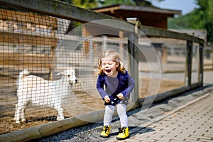 Adorable cute toddler girl feeding little goats and sheeps on a kids farm. Beautiful baby child petting animals in the