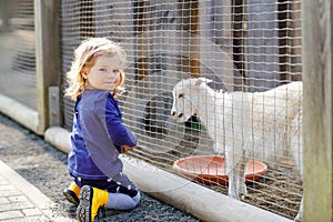 Adorable cute toddler girl feeding little goats and sheeps on a kids farm. Beautiful baby child petting animals in the