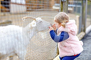 Adorable cute toddler girl feeding little goats and sheeps on a kids farm. Beautiful baby child petting animals in the