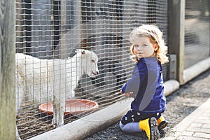 Adorable cute toddler girl feeding little goats and sheeps on a kids farm. Beautiful baby child petting animals in the