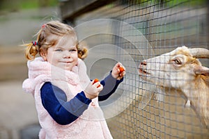 Adorable cute toddler girl feeding little goats and sheeps on a kids farm. Beautiful baby child petting animals in the