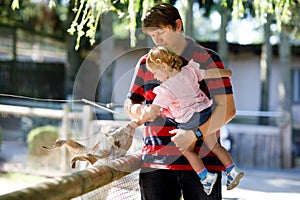 Adorable cute toddler girl and young father feeding little goats and sheeps on a kids farm. Beautiful baby child petting