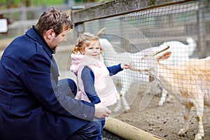 Adorable cute toddler girl and young father feeding little goats and sheeps on a kids farm. Beautiful baby child petting