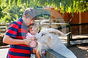 Adorable cute toddler girl and young father feeding little goats and sheeps on a kids farm. Beautiful baby child petting