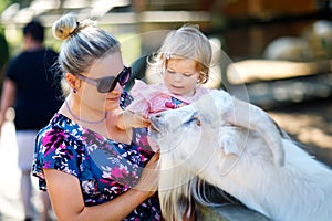 Adorable cute toddler girl and young mother feeding little goats and sheeps on a kids farm. Beautiful baby child petting