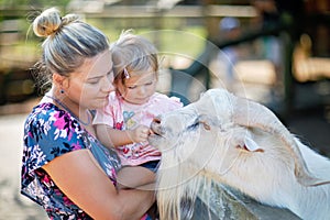 Adorable cute toddler girl and young mother feeding little goats and sheeps on kids farm. Beautiful baby child petting