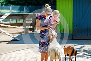 Adorable cute toddler girl and young mother feeding little goats and sheeps on kids farm. Beautiful baby child petting