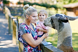 Adorable cute toddler girl and young mother feeding little goats and sheeps on kids farm. Beautiful baby child petting