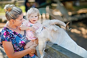 Adorable cute toddler girl and young mother feeding little goats and sheeps on kids farm. Beautiful baby child petting