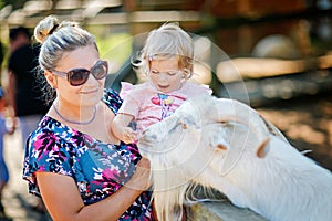 Adorable cute toddler girl and young mother feeding little goats and sheeps on kids farm. Beautiful baby child petting