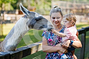 Adorable cute toddler girl and young mother feeding little goats and sheeps on kids farm. Beautiful baby child petting