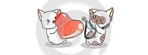 Adorable doctor cat is diagnosing heart