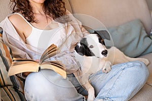 Adorable dog looking at camera while lying on owners lap