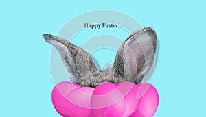 Adorable Easter bunny isolated on blue studio background, flyer, greeting card