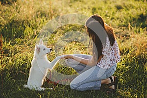 Adorable fluffy puppy giving paw to girl owner and having treat. Woman training cute white puppy to behave  in summer meadow in