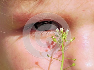 Adorable four years old cute little girl holding a fragile white wildflower to her eye. Summer outdoor kids activity and learning