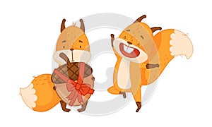 Adorable funny red squirrel forest animal in different actions set cartoon vector illustration