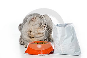 adorable furry cat lying near bowl and pack of cat food on white