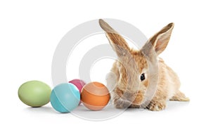 Adorable furry Easter bunny and colorful eggs