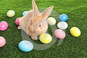 Adorable furry Easter bunny and colorful eggs