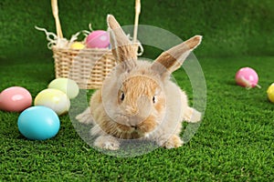 Adorable furry Easter bunny near wicker basket and dyed eggs