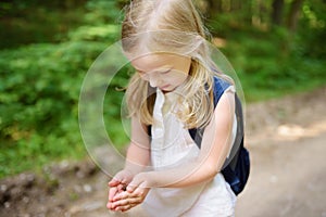 Adorable girl catching little babyfrogs on beautiful summer day in forest