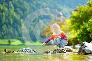 Adorable girl playing by Konigssee lake in Germany on warm summer day. Cute child having fun feeding ducks and throwing stones int