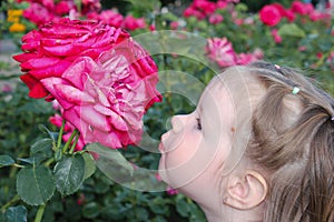 Adorable girl wants to kiss a rose