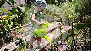 Adorable girl watering garden plants with watering can