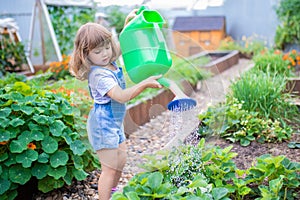 Adorable girl watering plants in the garden