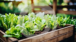 These adorable green sprouts are like nature's own little miracles, patiently awaiting their transformation into a