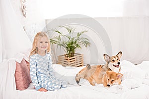 Adorable happy child in pajamas sitting with corgi dogs