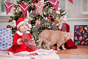An adorable kid dressed as Santa Claus plays near a decorated Christmas tree in the living room. A cat walks around the gifts