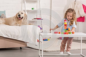 adorable kid playing with educational cubes, friendly golden retriever lying on bed