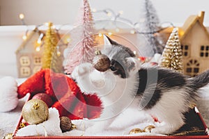 Adorable kitten playing with christmas bauble at festive decor, tree and ornaments in warm lights