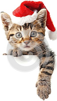 Adorable kitten in red christmas hat peeking from behind blank banner, cute and festive