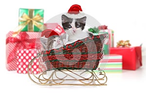 Adorable Kittens Surrounded by Christmas Gifts in Sleigh