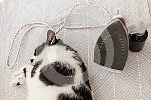 Adorable lazy cat sleeping at iron on modern cloth. Cute black and white cat relaxing on ironing board in stylish room, cozy