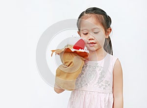 Adorable little Asian child girl hand wear and playing Lion puppets on white background. Educations concept photo