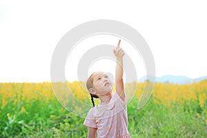 Adorable little Asian kid girl feeling free with pointing up in Sunhemp field. Yellow flowers background