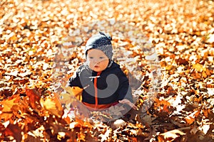 Adorable little baby child in autumn park with yellow leaves.