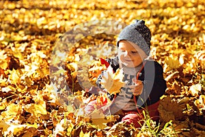 Adorable little baby child in autumn park with yellow leaves.