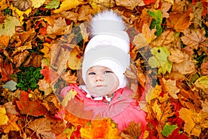 Adorable little baby girl in autumn park on cold october day with oak and maple leaf. Fall foliage. Family outdoor fun