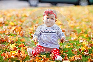 Adorable little baby girl in autumn park on sunny warm october day with oak and maple leaf. Fall foliage. Family outdoor