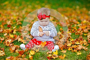 Adorable little baby girl in autumn park on sunny warm october day with oak and maple leaf. Fall foliage. Family outdoor